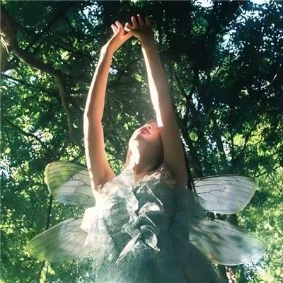 穿书七零被全家宠